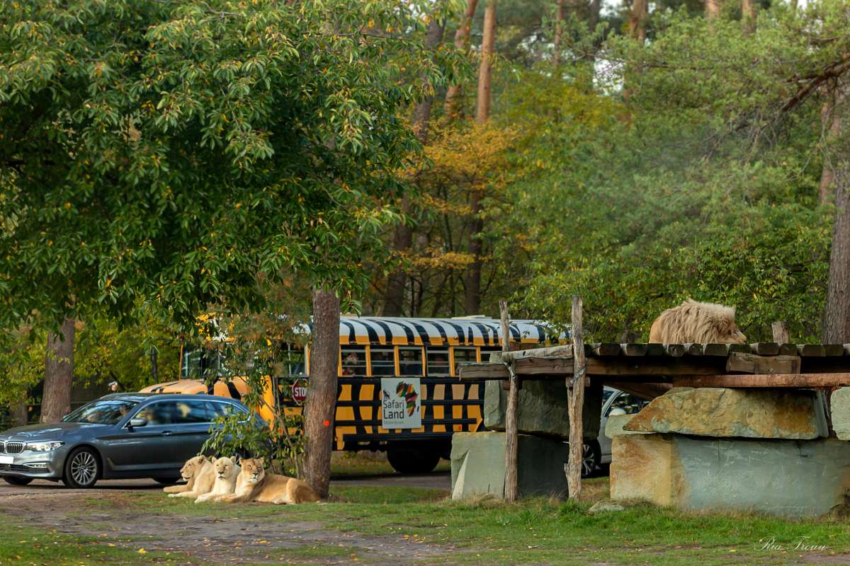 Safariland Stukenbrock